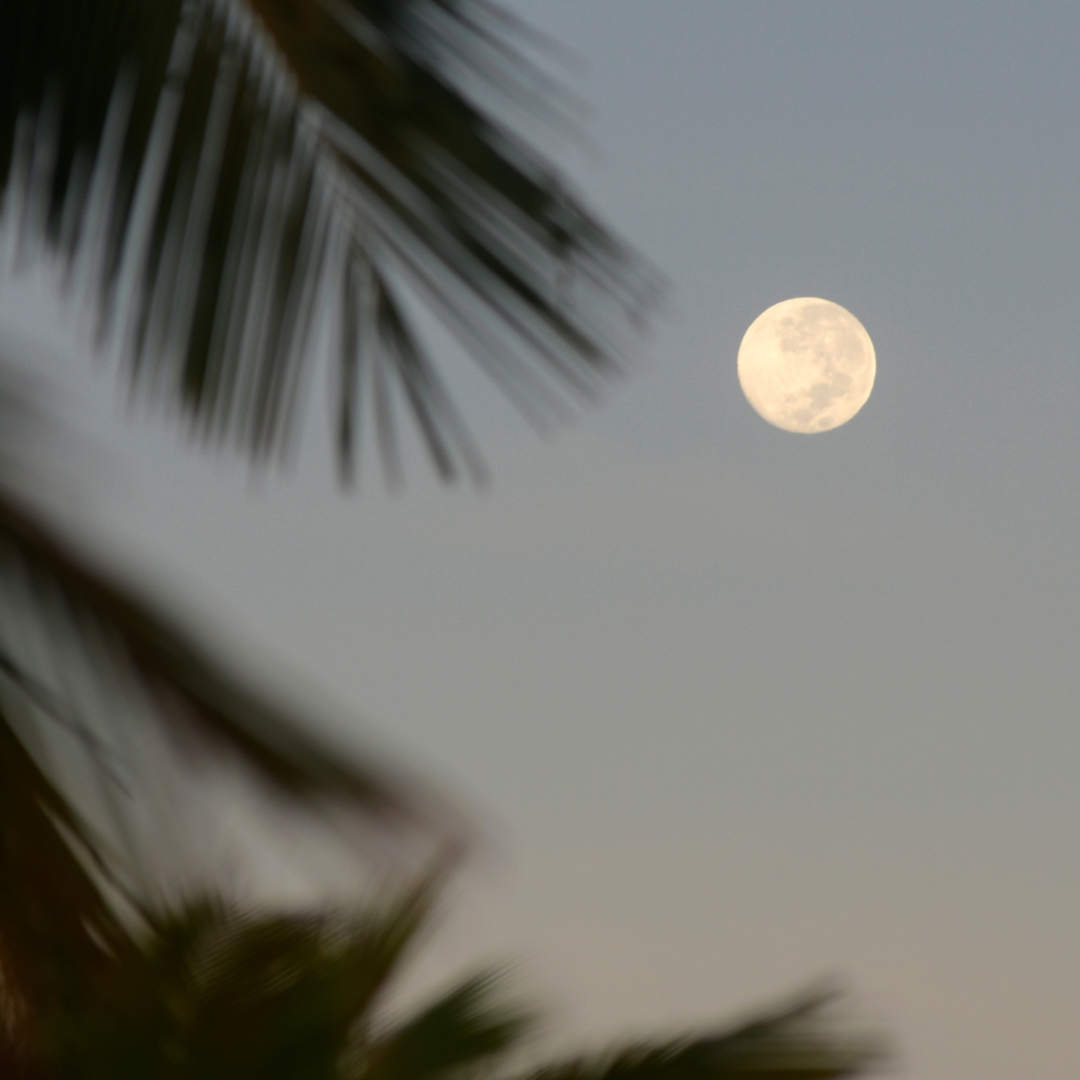 Wie der Mond unseren Körper beeinflusst